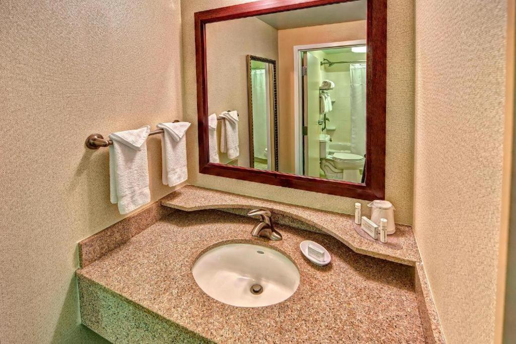 Springhill Suites Norfolk Old Dominion University Eksteriør billede